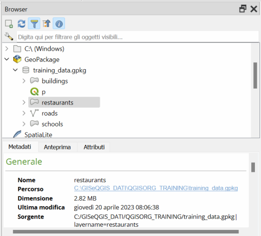 ../../../images/img_MANUALE/browser_p_properties_w.png