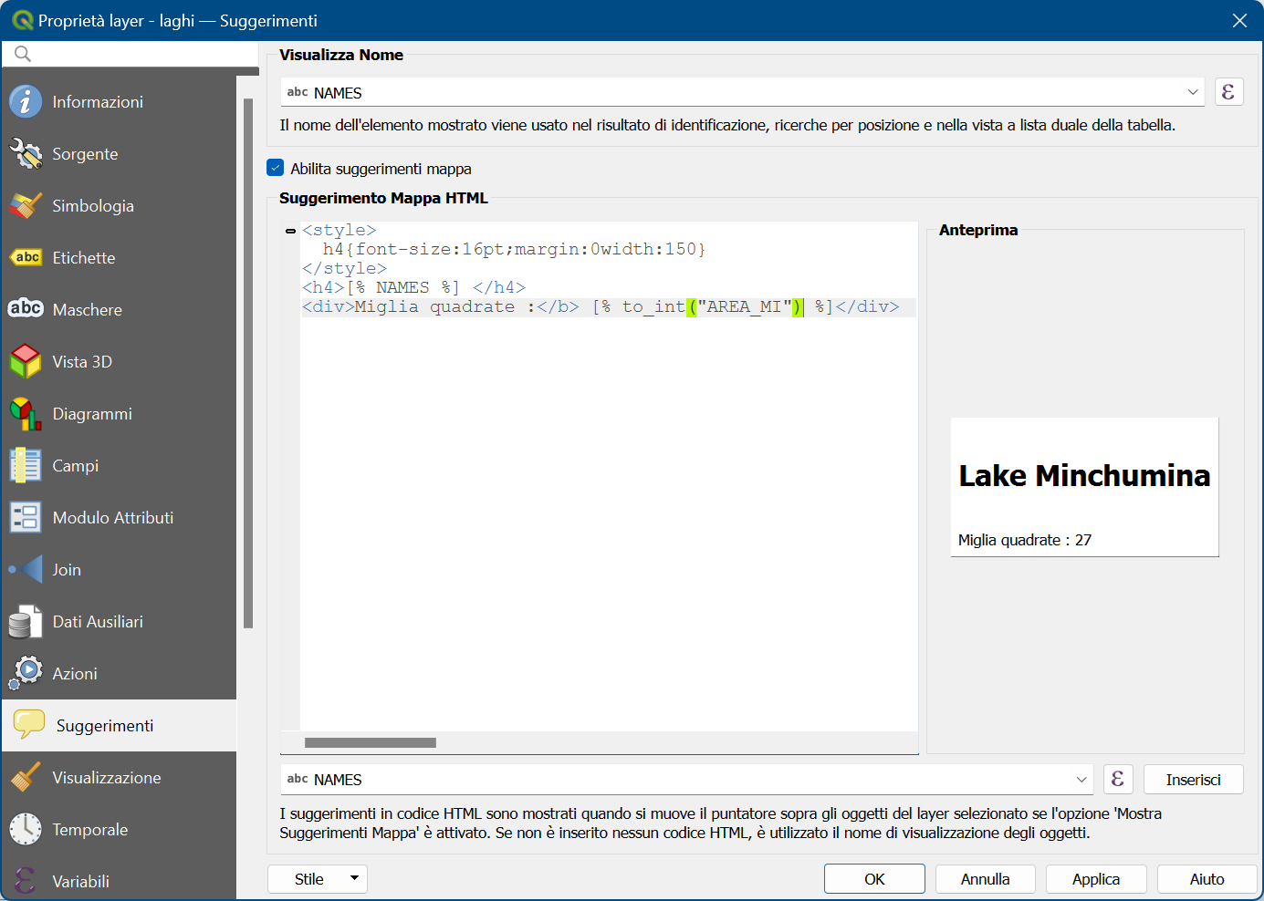 ../../../images/img_MANUALE/display_html.png