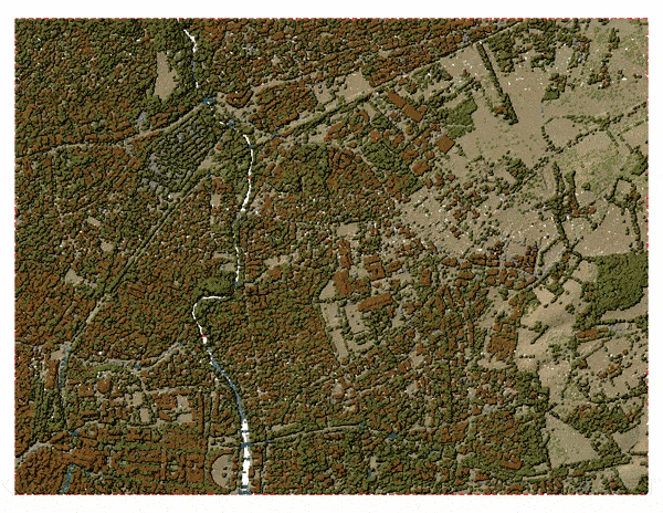 ../../../images/img_MANUALE/point_cloud_vpc_2d.gif