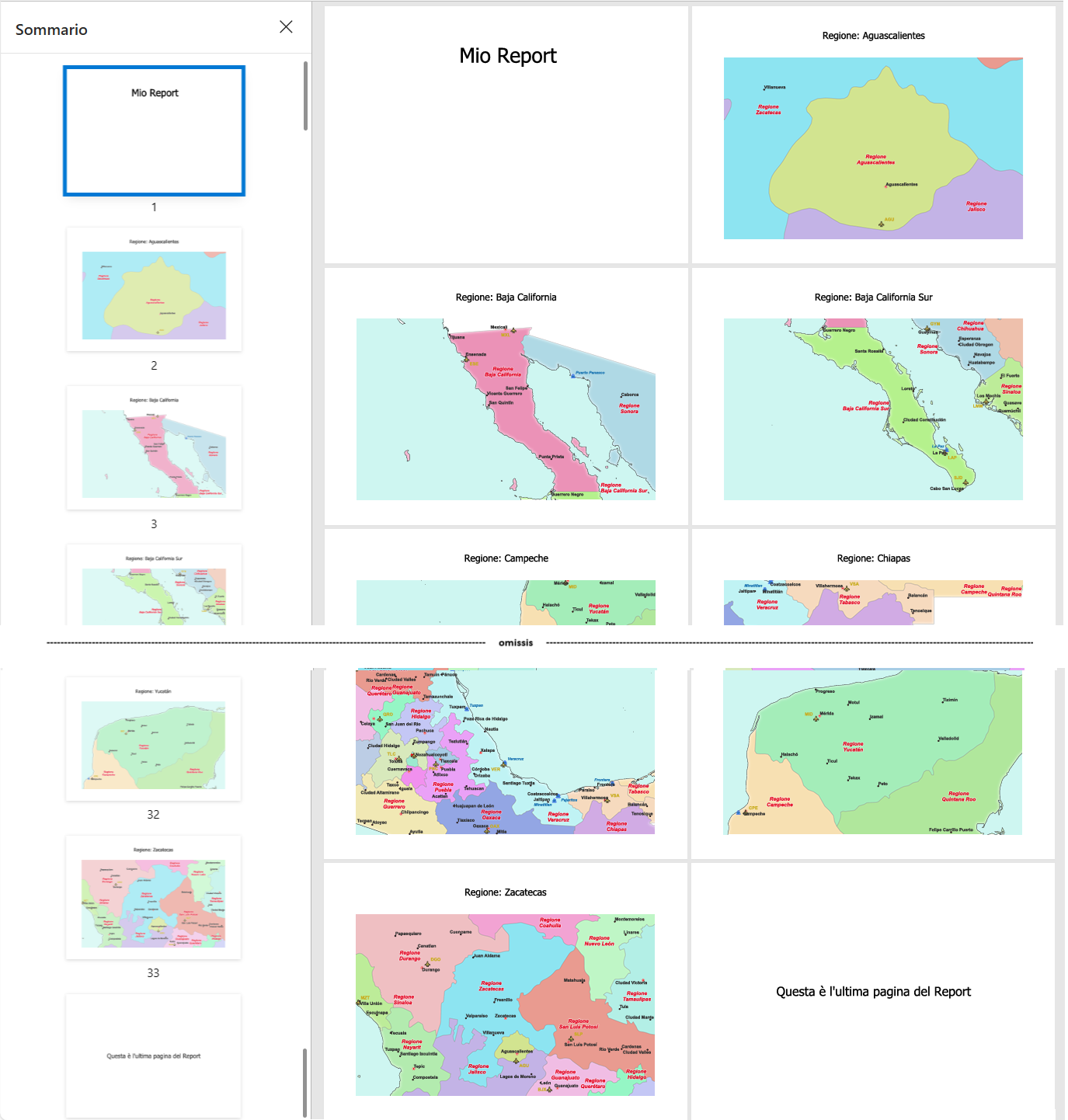 ../../../images/img_MANUALE/report1.png