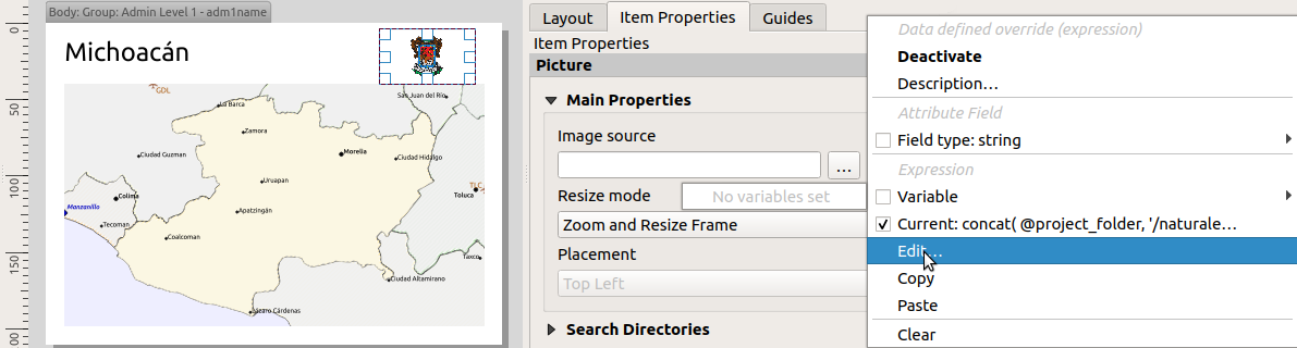 ../../../images/img_MANUALE/report_dynamic_picture.png